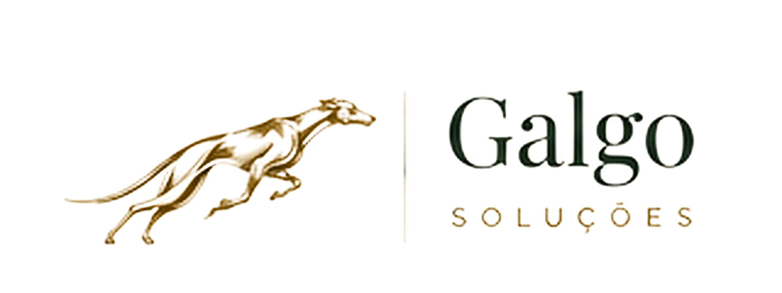 Galgo Soluções