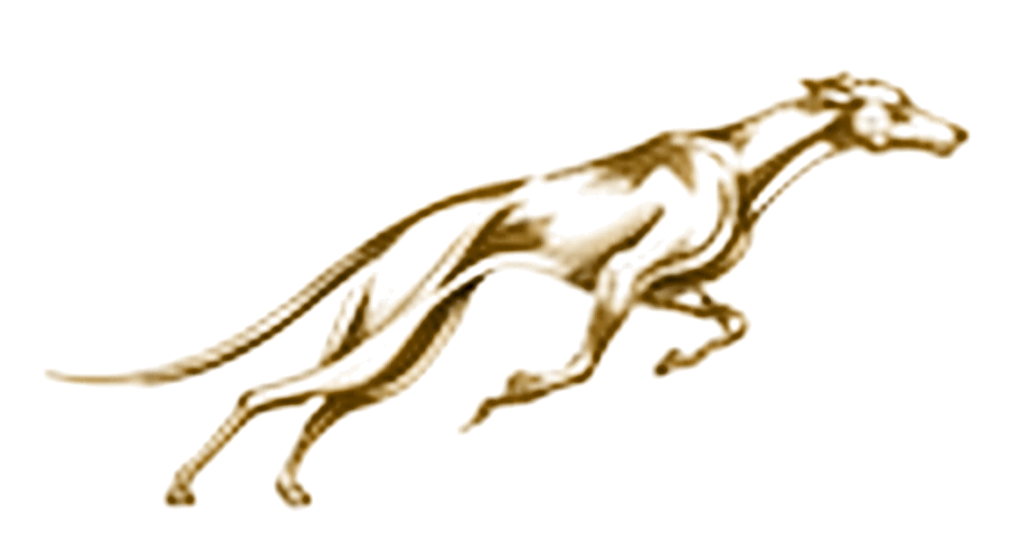 Galgo Soluções